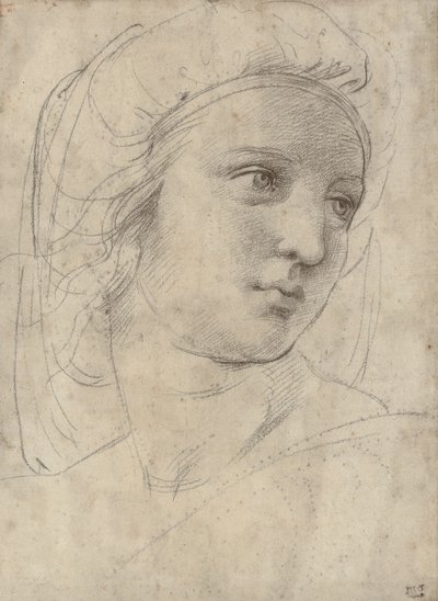 Head of a Muse by Raffaello Sanzio Raphael